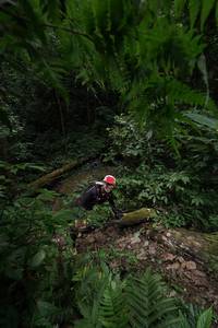 BIB: 5135, 
                            <button type="button" onclick="openModal(16029960)" class="btn btn-primary btn-sm float-right btn-popup" data-toggle="modal" data-target=".modal-high-quality">
                        <i class="fas fa-shopping-cart"></i> Add to Cart
                    </button>
                                            <button type="button" onclick="isThisMe(16029960, true)" class="btn btn-success btn-sm float-right btn-popup btn-isme hidden" data-toggle="tooltip" data-placement="bottom" title="นี่คือรูปของคุณใช่ไหม คลิกที่นี่เพื่อเอาเข้าอัลบั้ม">
                        <i class="fas fa-plus"></i> Add to album
                    </button>
                    <button type="button" onclick="isThisMe(16029960, false)" class="btn btn-warning btn-sm float-right btn-popup btn-isnotme hidden">
                        <i class="fas fa-ban"></i> Remove from album
                    </button>